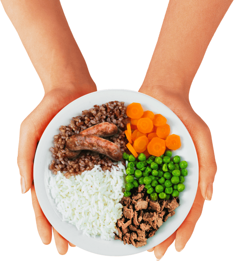 Comida